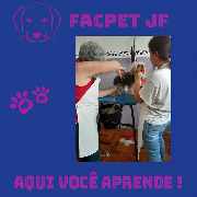 Foto 1 - Anncio 45-662447