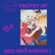 Foto 2 - Anncio 45-662447