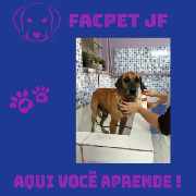 Foto 3 - Anncio 45-662447
