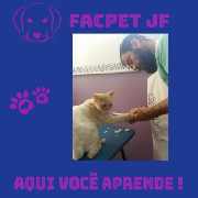Foto 4 - Anncio 45-662447