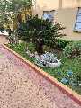 Foto 6 - Anncio 45-662528